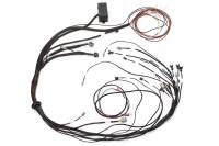 Haltech HT-140875 Haltech Elite 1000 Terminated Harness