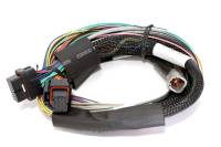 Haltech HT-141302 Haltech Elite 2500 Basic Universal Wire-In Harness w/o Relays or Fuses - 2.5m (8ft)