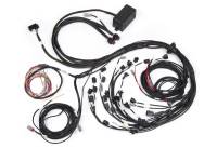 Haltech HT-141388 Haltech Elite 2500 Terminated Harness w/EV1 Injector Connectors