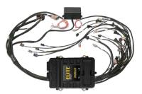Haltech HT-151360 Haltech Elite 2500 Terminated Harness ECU Kit w/EV1 Injector Connectors