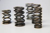 Ferrea S10003 Ferrea 1.600in to 1.650in Dia 1.080/1.625 OD 0.767/1.189 ID Dual w/Damper Valve Spring - Set of 16
