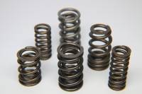 Ferrea S10162 Ferrea VW BTW Single Valve Spring - Set of 20