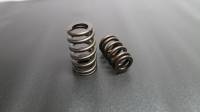 Ferrea S2005 Ferrea Flat Tappet & Hydraulic Roller Single Beehive Ovate PAC Alloy Valve Spring - Set of 16