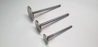 Ferrea VG1021 Ferrea GM Dart/World 11/32 .502 OD 2.000 Length .500 ID Exhaust/Intake Valve Guide - Set of 8