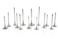 Ferrea VS1021 Ferrea 5/16 / 8mm .500in ID Viton Hi-Temp Exhaust/Intake Valve Stem Seal - Set of 16