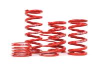 H&R Special Springs LP R25061100 H&R 2.50in I.D. Race Spring 6 Free Length/1100 Rate/2.95in/3352lbs