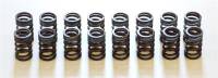 HKS 22001-AN002 HKS 91-00 Infiniti G20 SR20DET Outer Valve Spring Set