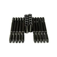 Wagner Tuning P101092010.BR Wagner Tuning Audi RS6 C5 OEM Head Stud Set - Burnished