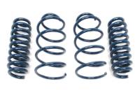 GFBV D100-0926 Dinan Performance Spring Set - 2007-2011 BMW 335i - Fits 2007-2011 BMW 335i