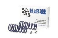 H&R Special Springs LP 28817-1 H&R 14-18 BMW X5 xDrive35d/X5 xDrive35i F15 Sport Spring (w/Self-Leveling/Non 2WD)
