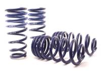 H&R Special Springs LP 28817-3 H&R 14-18 BMW X5 xDrive35d/X5 xDrive35i F15 Sport Spring (w/o Self-Leveling/Non 2WD)
