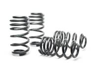 H&R Special Springs LP 29298-1 H&R 03-04 Audi RS6/RS6 Avant (AWD) Sport Spring
