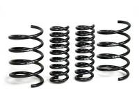 H&R Special Springs LP 29392 H&R 01-06 Mercedes-Benz C240/C320/C55 AMG W203 Sport Spring