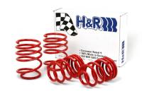 H&R Special Springs LP 29484 H&R 99-05 BMW 323Ci/323i/325Ci/325i/328Ci/328i/330Ci/330i E46 Sport Spring (w/Sport Susp.)