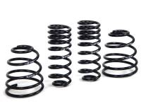 H&R Special Springs LP 29513 H&R 98-04 Porsche 911/996 C2 (2WD) Coupe Sport Spring