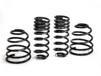 H&R Special Springs LP 29513-2 H&R 98-04 Porsche 911/996 C2 (2WD) Cabrio/Targa Sport Spring