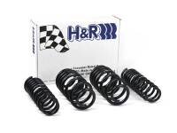 H&R Special Springs LP 50396 H&R 96-01 Audi A4 Quattro (AWD) B5 Sport Spring
