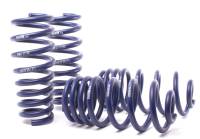 H&R Special Springs LP 50435 H&R 07-13 BMW X5 E70 Sport Spring (w/o Self-Leveling/Incl. Diesel)