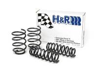 H&R Special Springs LP 50490 H&R 07-11 BMW 328i Sedan E90 Sport Spring