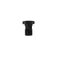 AEM - AEM 25-635 AEM Adjustable Fuel Pressure Regulator Banjo Bolt - Image 3